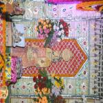 Vraj-Yatra-2014- (546)